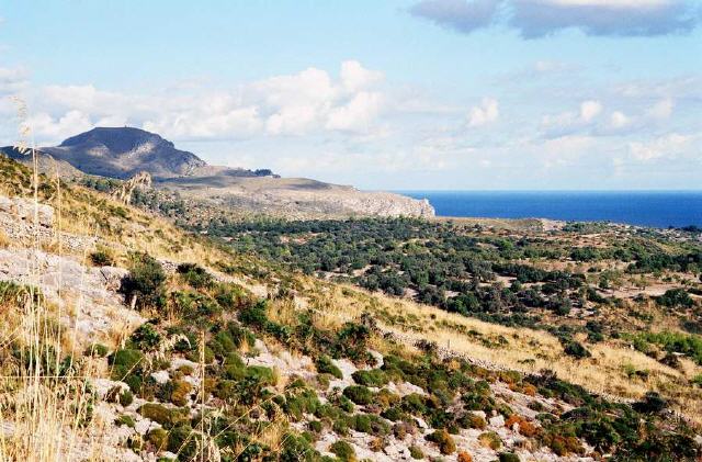 Mallorca - Naturpark Serres de Llevant