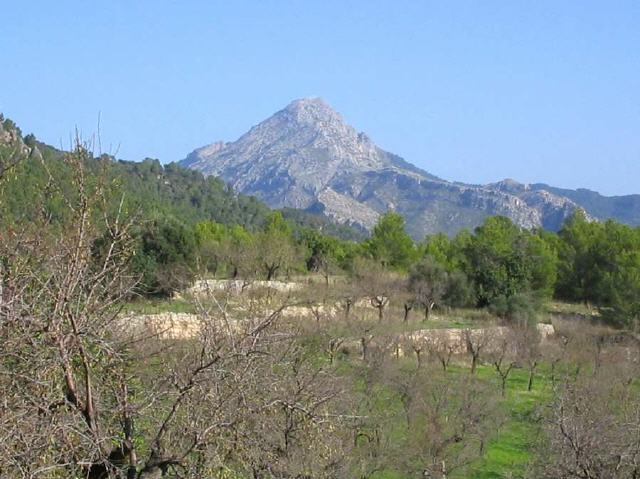 Mallorca - Puigpunyent